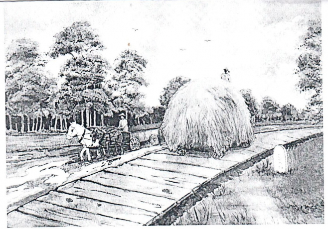Plank Road Central Square 12 29 20